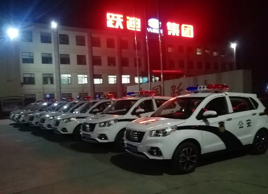 護(hù)航兩會，躍迪在行動|躍迪電動警用巡邏車海南執(zhí)勤，助力和諧兩會