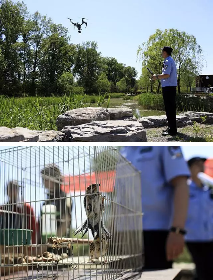 保護候鳥|躍迪移動警務室——北京首個濕地移動森林警務執(zhí)法站