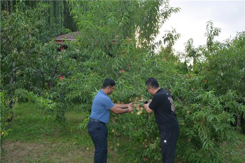 一路一帶丨印度客商到躍迪集團(tuán)參觀(guān)洽談合作